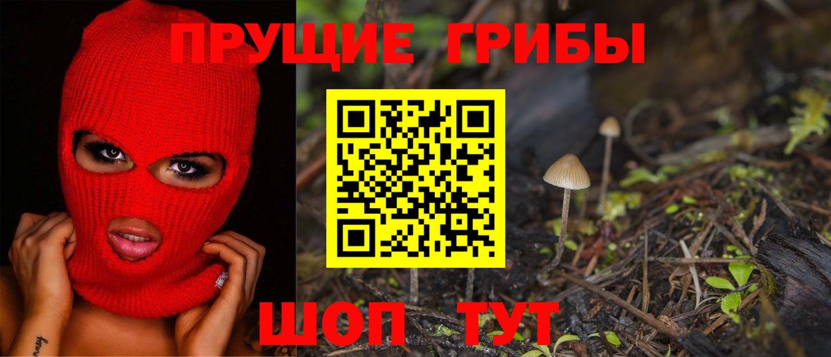 Псилоцибиновые грибы прущие грибы Шелехов